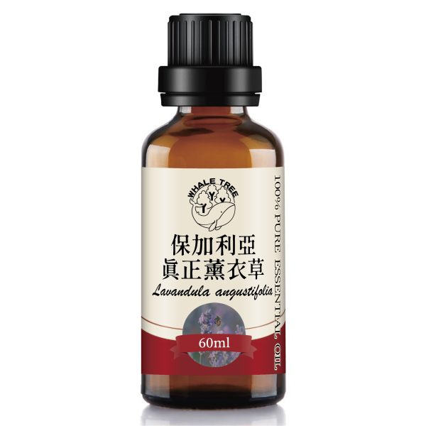 保加利亞真正薰衣草-純60 鯨魚樹 保加利亞真正薰衣草單方精油 Bulgarian Lavender Lavandula angustifolia 蒸餾萃取 花朵來源 來自保加利亞山區