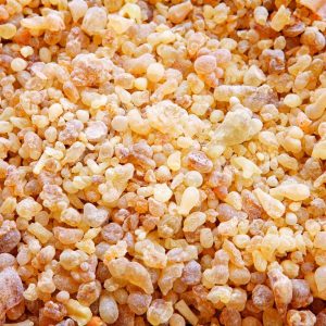 鯨魚樹 單方印度乳香精油 Frankincense Boswellia serrata 蒸餾萃取 樹脂來源 來自印度天然林區
