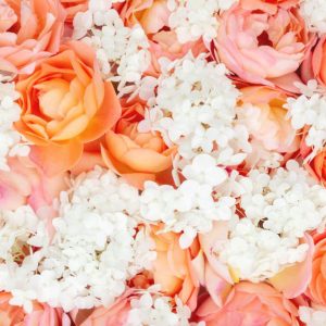 四個皇后複方精油 玫瑰花瓣香氣融合果香與溫潤木質調