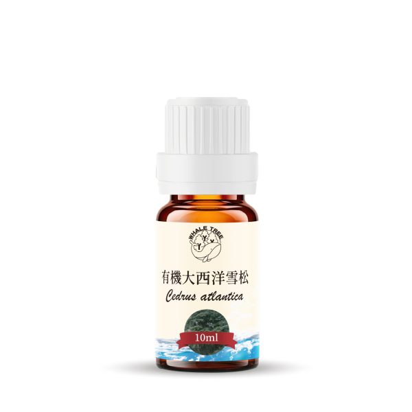 鯨魚樹 有機大西洋雪松單方精油 Organic Cedarwood Cedrus atlantica 蒸餾萃取 木質來源