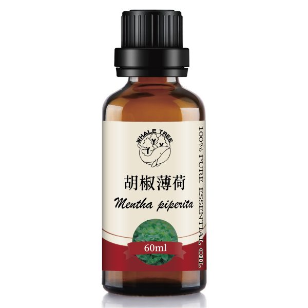 鯨魚樹 單方胡椒薄荷精油 Peppermint Mentha piperita 蒸餾萃取 植株來源 來自印度