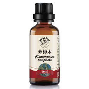 鯨魚樹 單方芳樟木精油 Ho Wood Cinnamomum camphora 蒸餾萃取 木質來源 來自中國