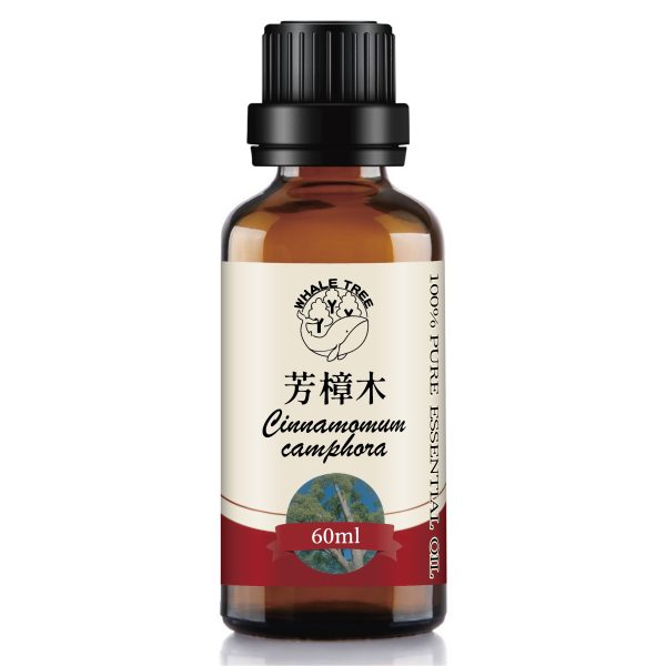 芳樟木-純60 鯨魚樹 單方芳樟木精油 Ho Wood Cinnamomum camphora 蒸餾萃取 木質來源 來自中國