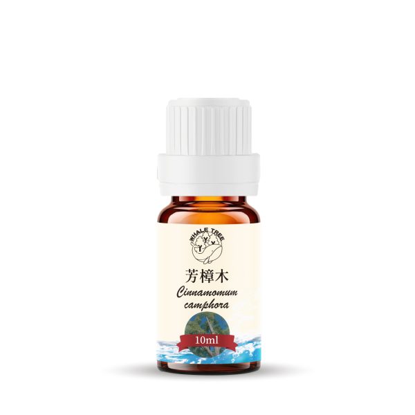 芳樟木-水10 鯨魚樹 單方芳樟木精油 Ho Wood Cinnamomum camphora 蒸餾萃取 木質來源 來自中國