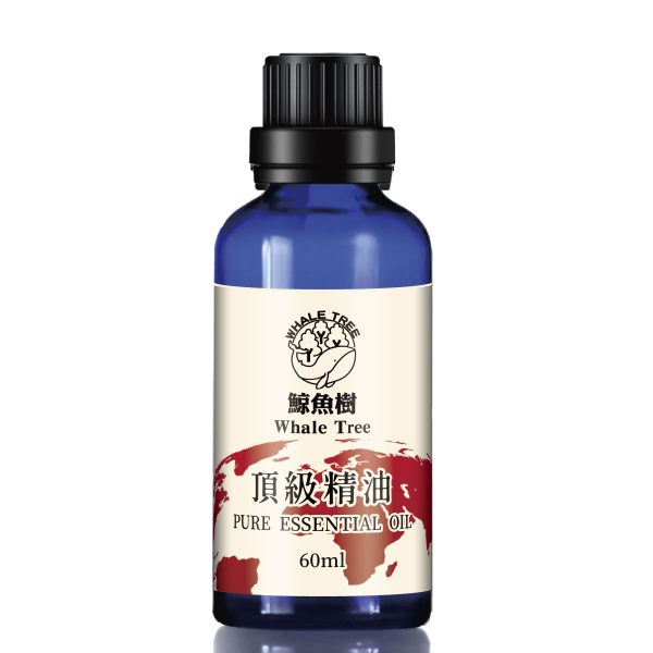三宅純精油