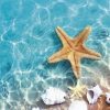 海洋之星水氧精油