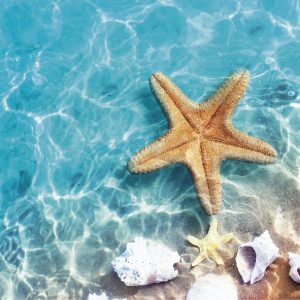 花香海洋調複方精油，帶來清爽悠然的居家香氛