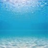 海洋水氧精油