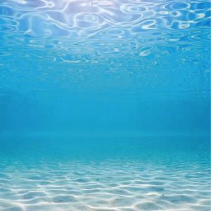 海洋水生調複方精油，適合日常清新與放鬆使用