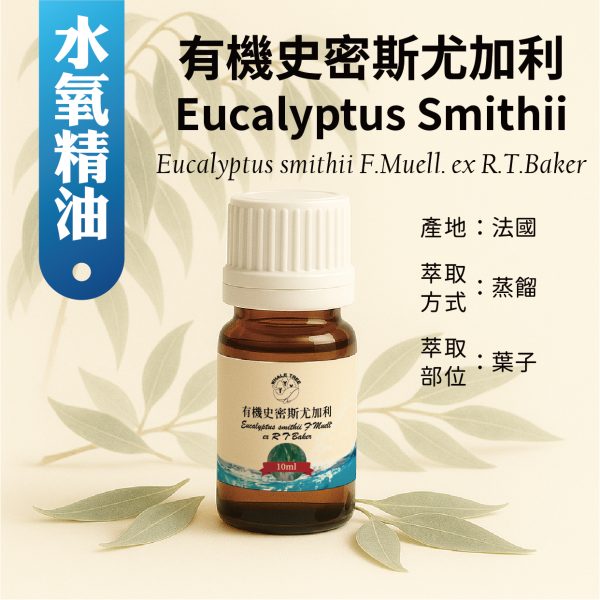 鯨魚樹 有機史密斯尤加利單方精油 Eucalyptus Smithii Eucalyptus smithii F.Muell. ex R.T.Baker 蒸餾萃取 葉片來源 來自法國 通過 ECOCERT 有機認證