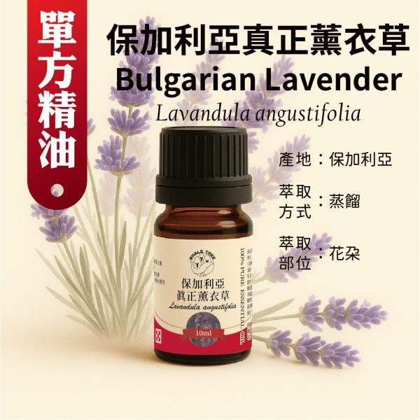 鯨魚樹 保加利亞真正薰衣草單方精油 Bulgarian Lavender Lavandula angustifolia 蒸餾萃取 花朵來源 來自保加利亞山區