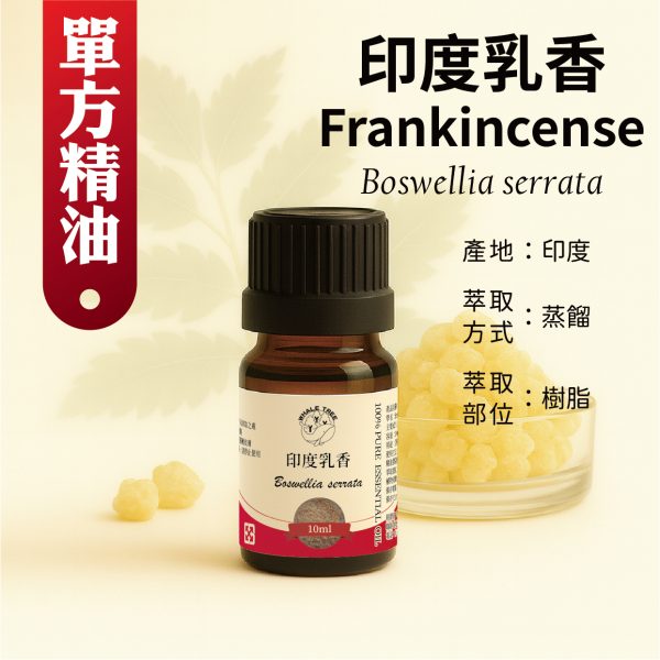 鯨魚樹 單方印度乳香精油 Frankincense Boswellia serrata 蒸餾萃取 樹脂來源 來自印度天然林區