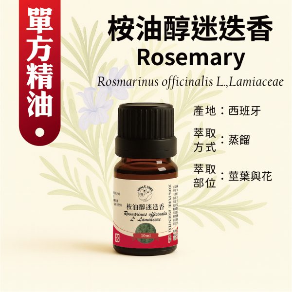 鯨魚樹 桉油醇迷迭香單方精油 Rosemary Rosmarinus officinalis CT Cineole 蒸餾萃取 莖葉與花來源