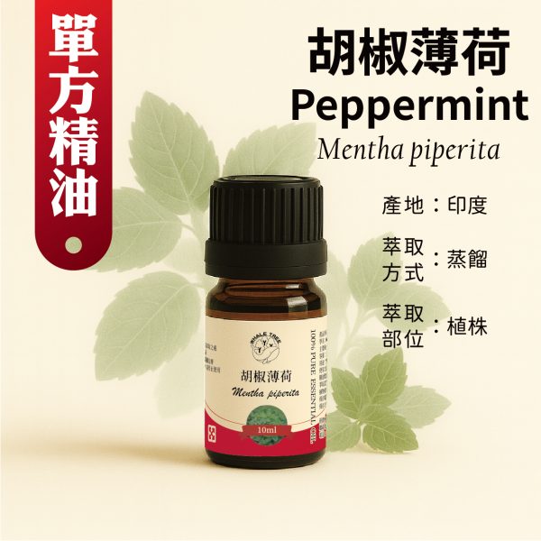 鯨魚樹 單方胡椒薄荷精油 Peppermint Mentha piperita 蒸餾萃取 植株來源 來自印度