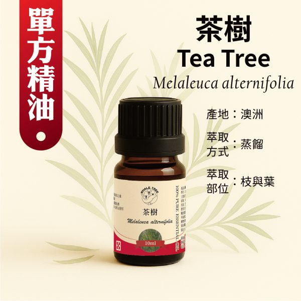 鯨魚樹 單方茶樹精油 Tea Tree Melaleuca alternifolia 蒸餾萃取 枝與葉來源 來自澳洲
