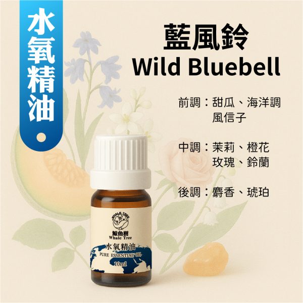 藍風鈴花香調複方精油，清新水生香氣適合居家擴香