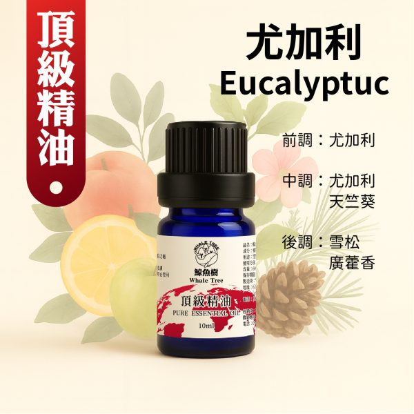 尤加利複方精油，清新果香木質調喚醒專注與活力