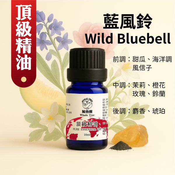 藍風鈴花香調複方精油，清新水生香氣適合居家擴香