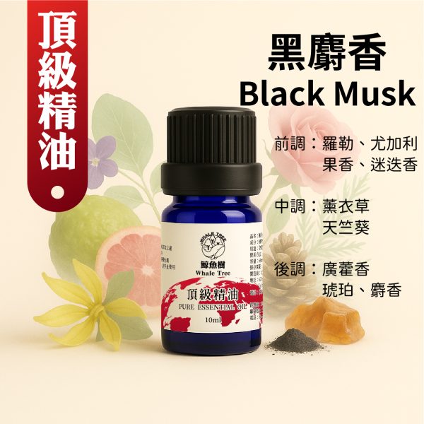 Black Musk 黑麝香複方精油 果香 花草調 麝香 琥珀 廣藿香