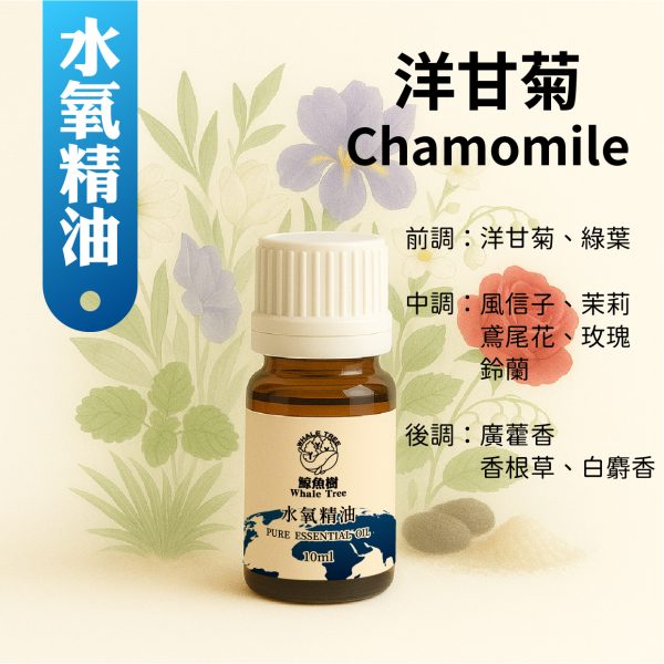 鯨魚樹洋甘菊複方水氧精油10ml