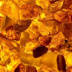 鯨魚樹琥珀複方精油圖例