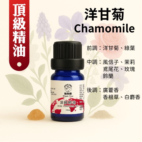 鯨魚樹洋甘菊複方精油10ml