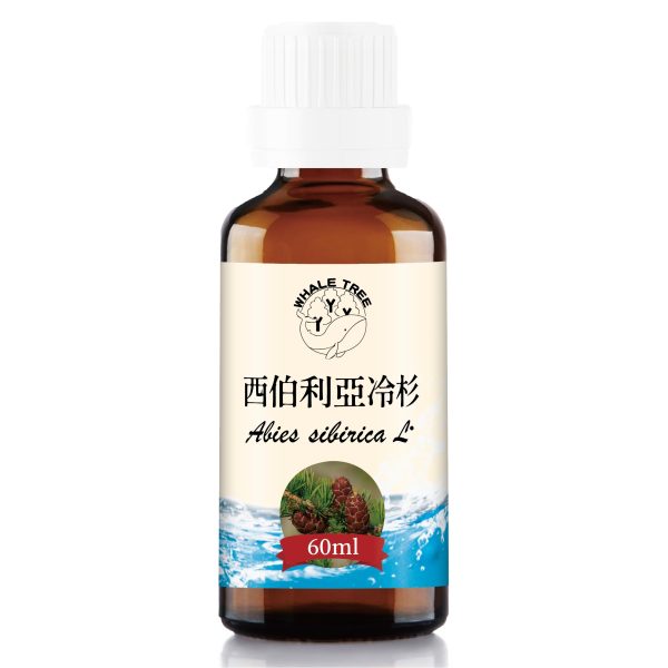 西伯利亞冷杉60ml水氧精油 西伯利亞冷杉水氧精油