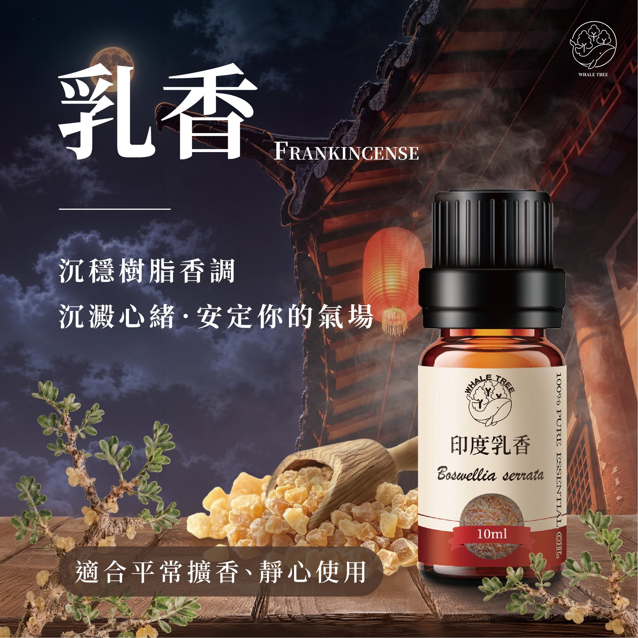 鯨魚樹 單方印度乳香精油 Frankincense Boswellia serrata 蒸餾萃取 樹脂來源 來自印度天然林區